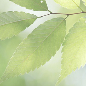 Kiilax tuotantomme on hiilineutraalia